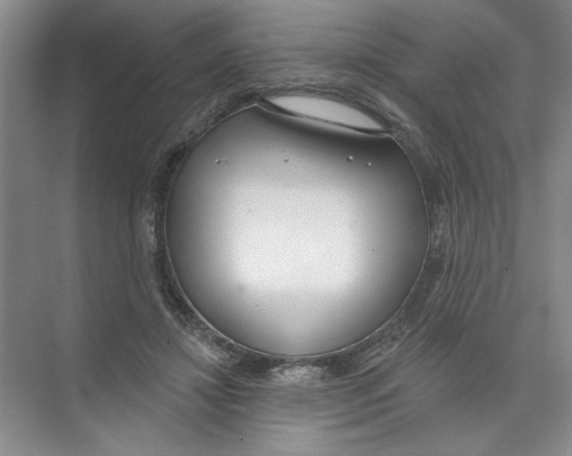 X0000074320452200609230031