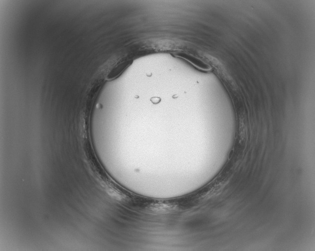 X0000074320453200609230031