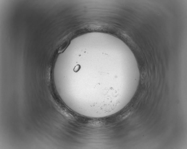 X0000074320454200609230031