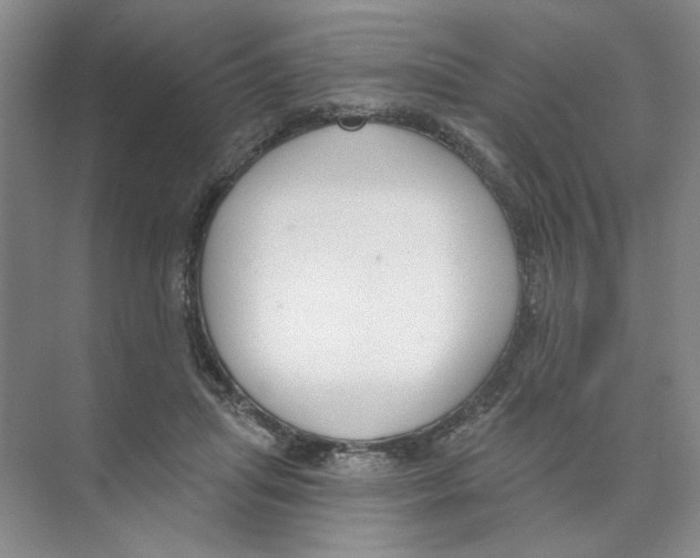 X0000074320455200609230031