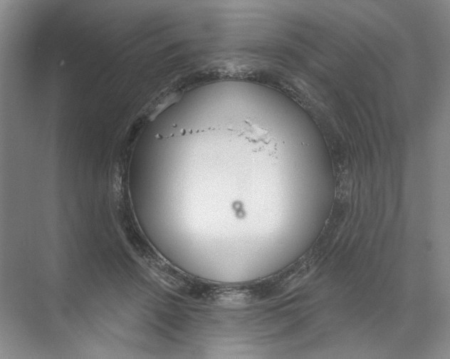 X0000074320456200609230031