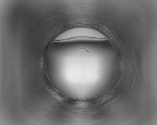 X0000074320458200609230031