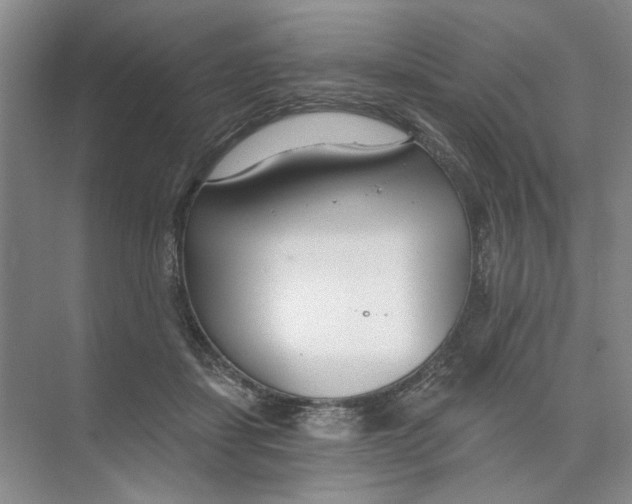 X0000074320459200609230031