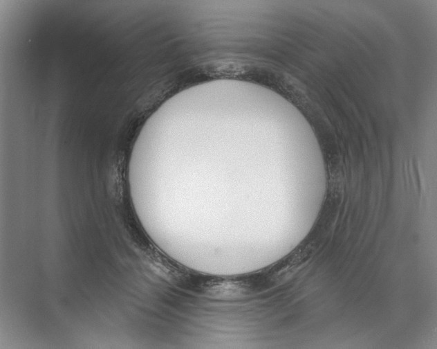 X0000074320460200609230031