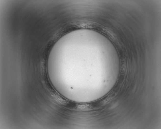 X0000074320461200609230031