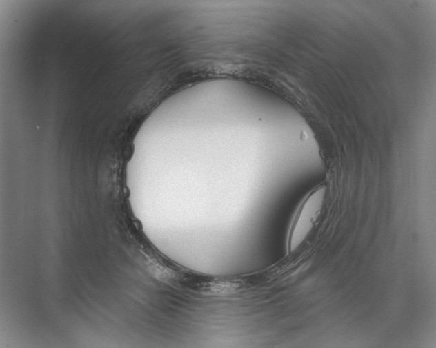 X0000074320462200609230031