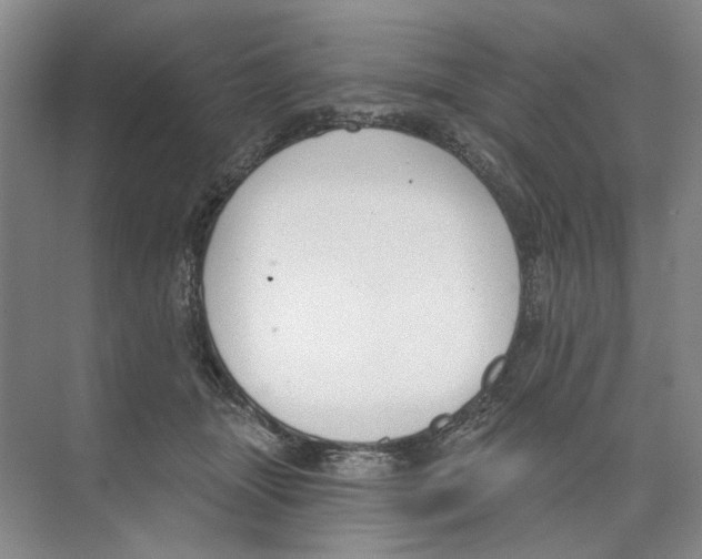 X0000074320463200609230031