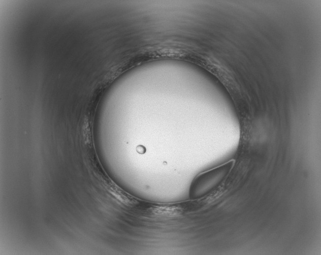 X0000074320465200609230031