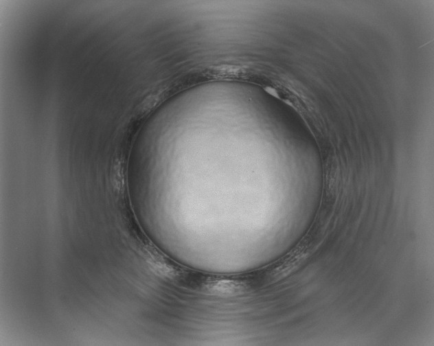 X0000074320467200609230031