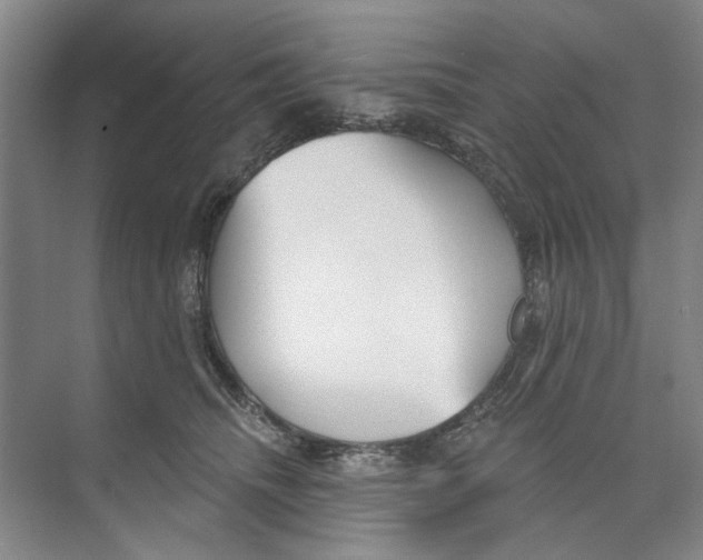 X0000074320468200609230031