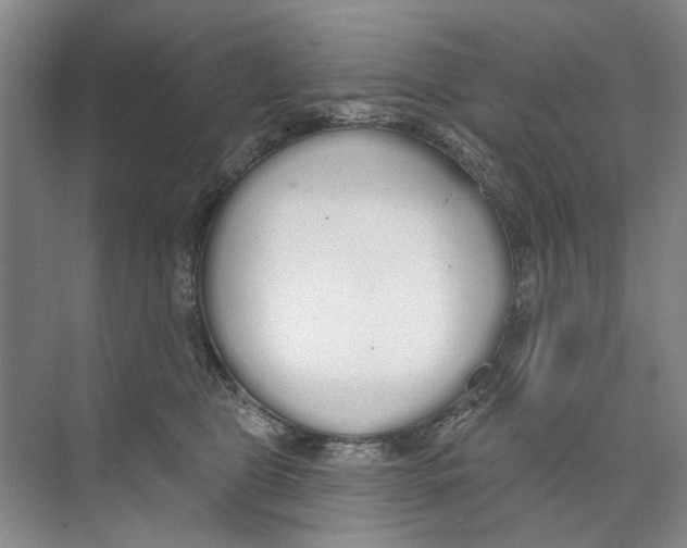 X0000074320469200609230031