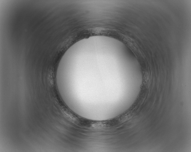 X0000074320470200609230031