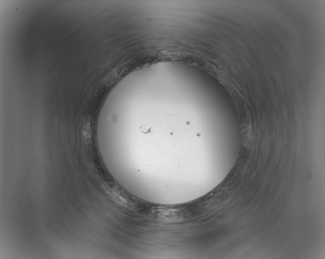 X0000074320472200609230031