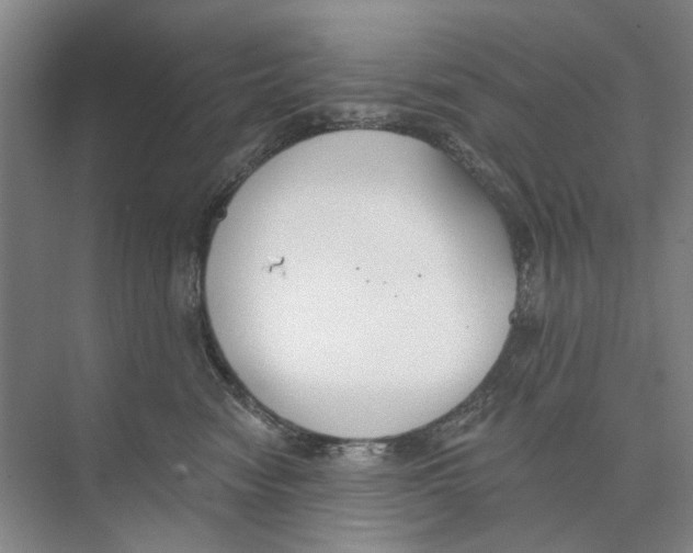 X0000074320474200609230031