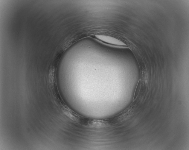 X0000074320475200609230031