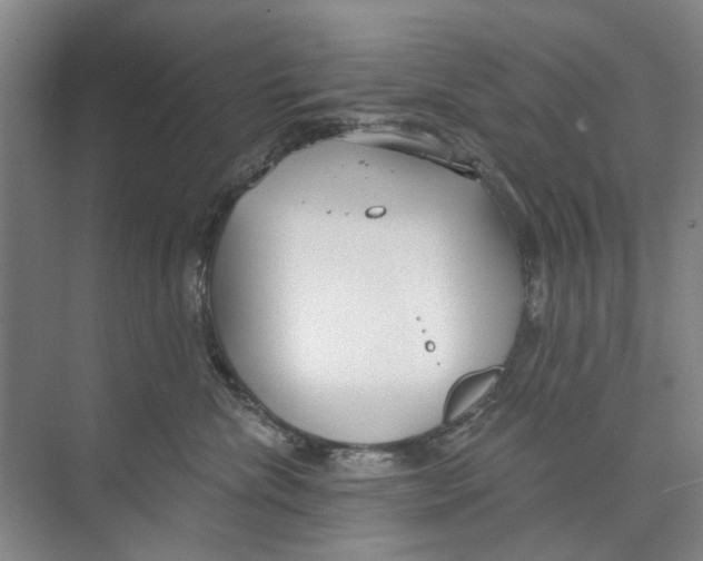 X0000074320476200609230031