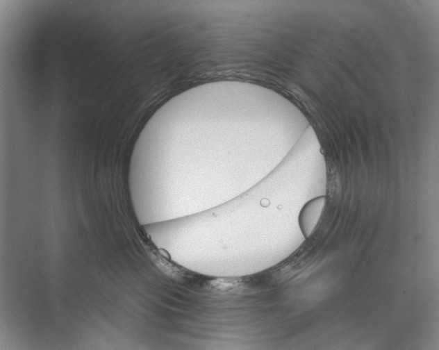 X0000074320477200609230031