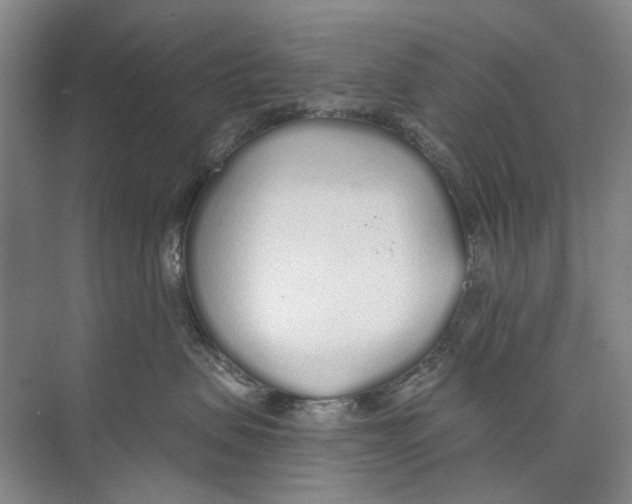 X0000074320479200609230031