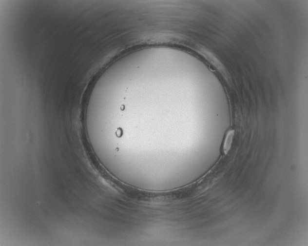 X0000074320485200609230030