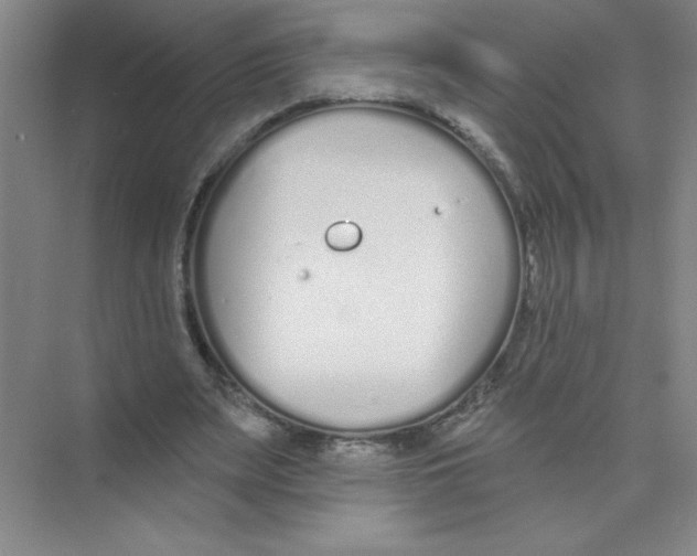 X0000074320487200609230030