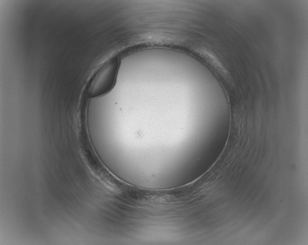 X0000074320488200609230030