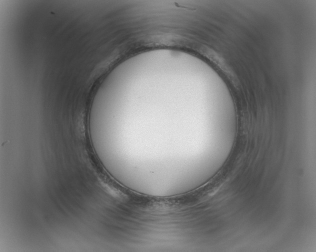 X0000074320489200609230030