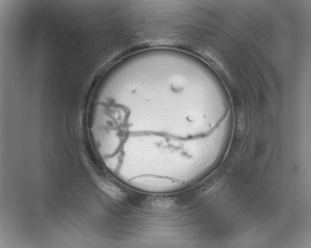 X0000074320491200609230030