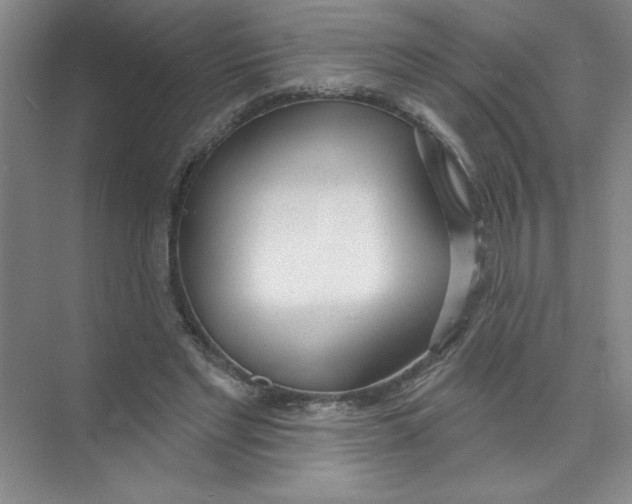 X0000074320493200609230030