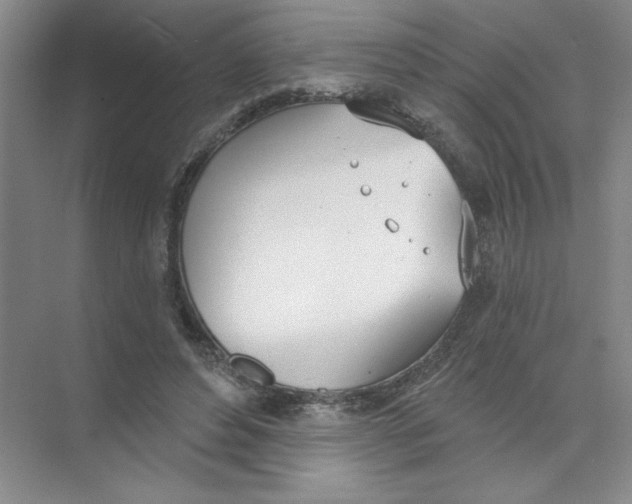 X0000074320496200609230030