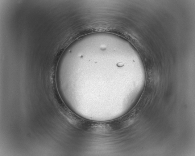 X0000074320499200609230030