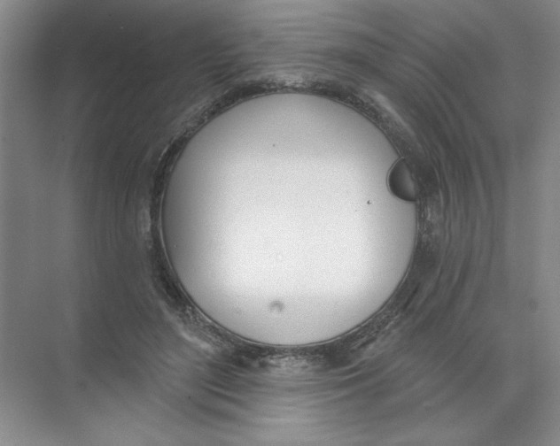 X0000074320500200609230030