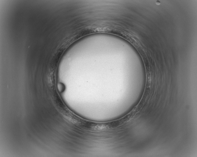 X0000074320503200609230030