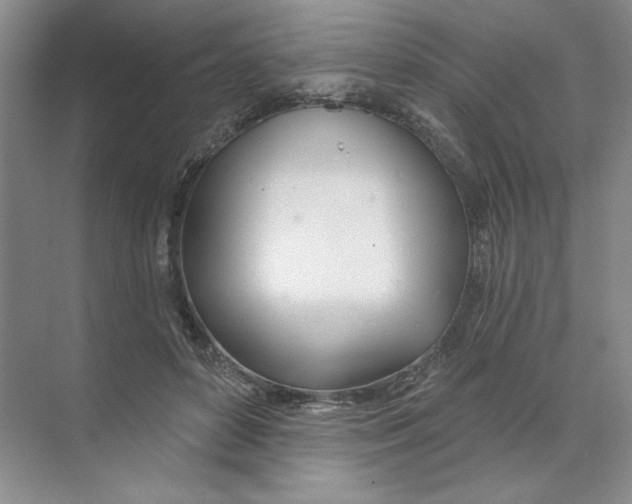 X0000074320504200609230030