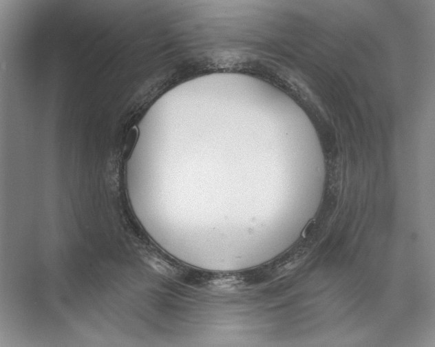 X0000074320505200609230030