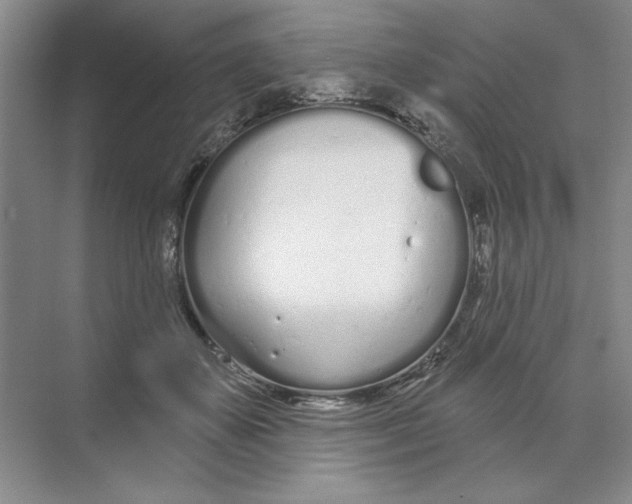 X0000074320507200609230030