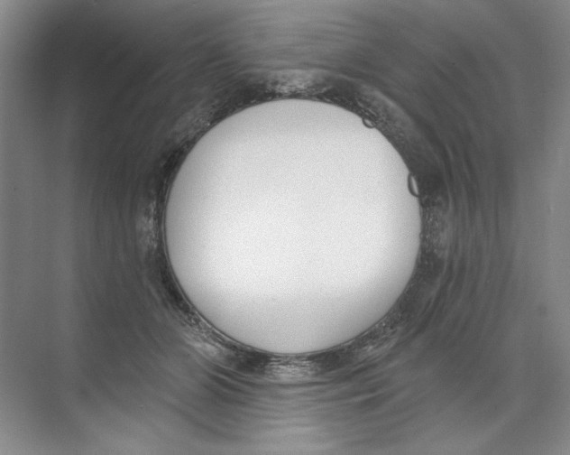 X0000074320510200609230030