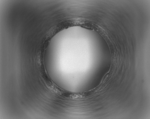 X0000074320512200609230030