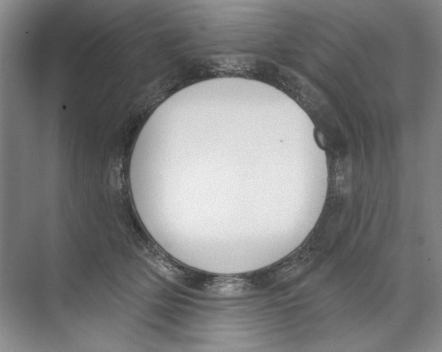 X0000074320514200609230030