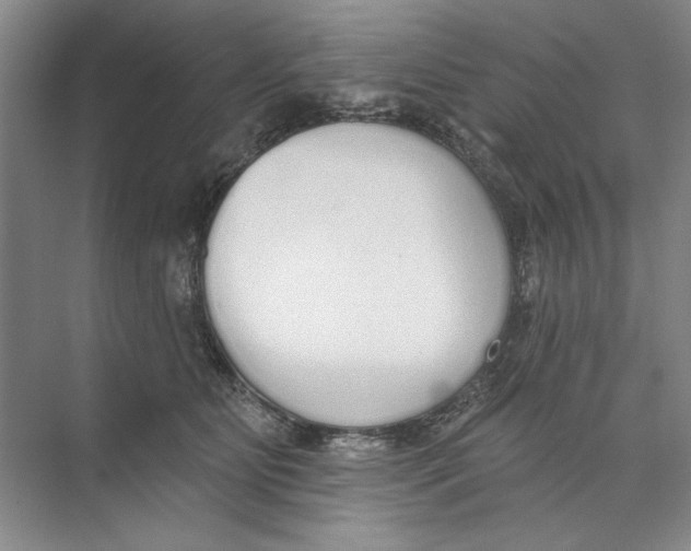 X0000074320515200609230030