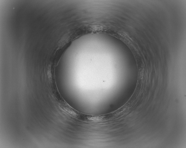 X0000074320516200609230030