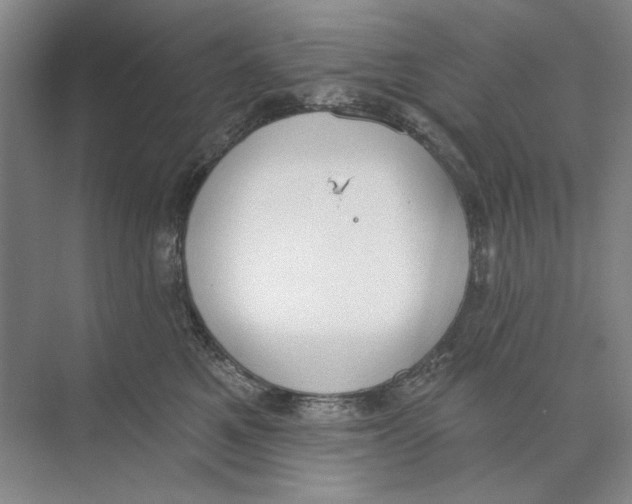 X0000074320521200609230030