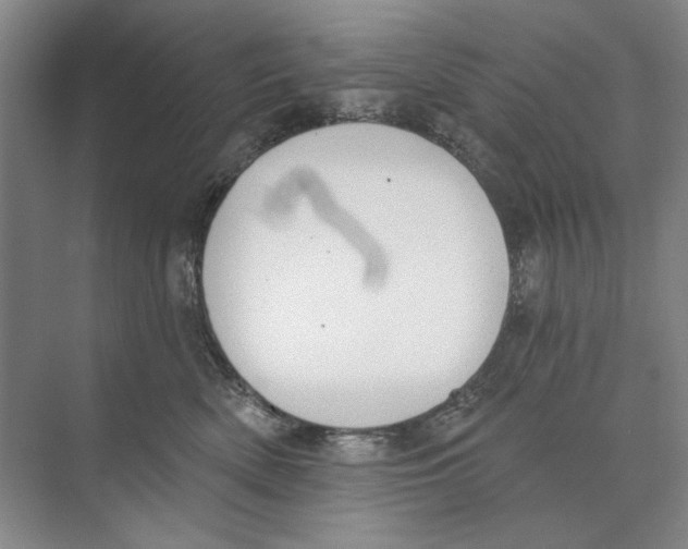 X0000074320522200609230030