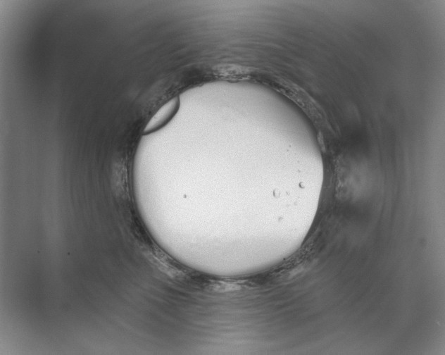 X0000074320523200609230030