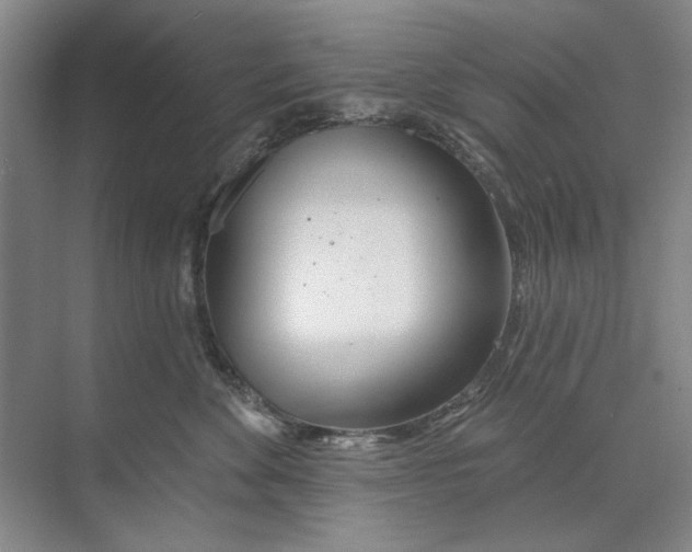 X0000074320524200609230030