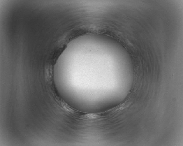 X0000074320528200609230030