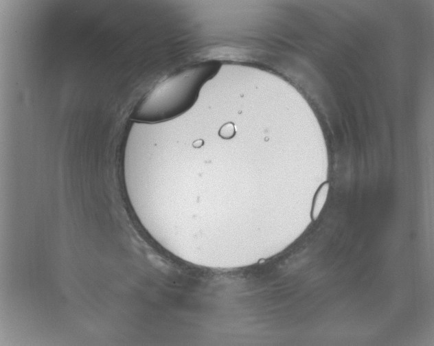 X0000074320529200609230029