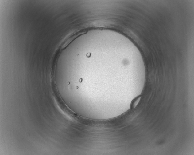 X0000074320530200609230029