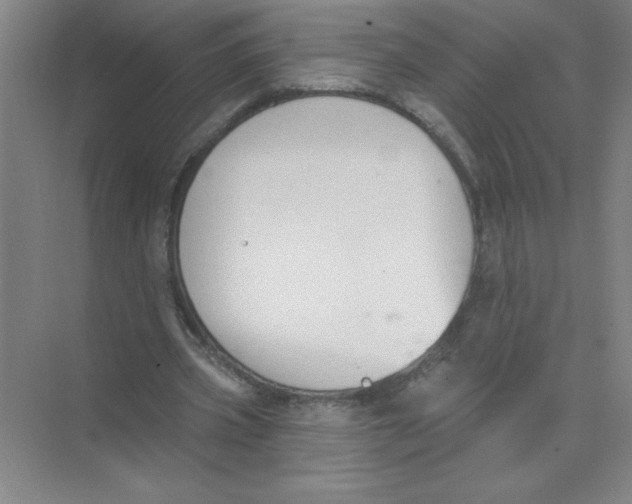 X0000074320533200609230029