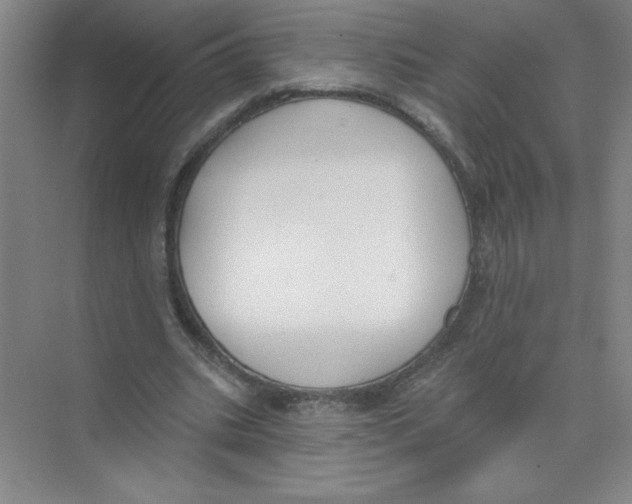 X0000074320535200609230029