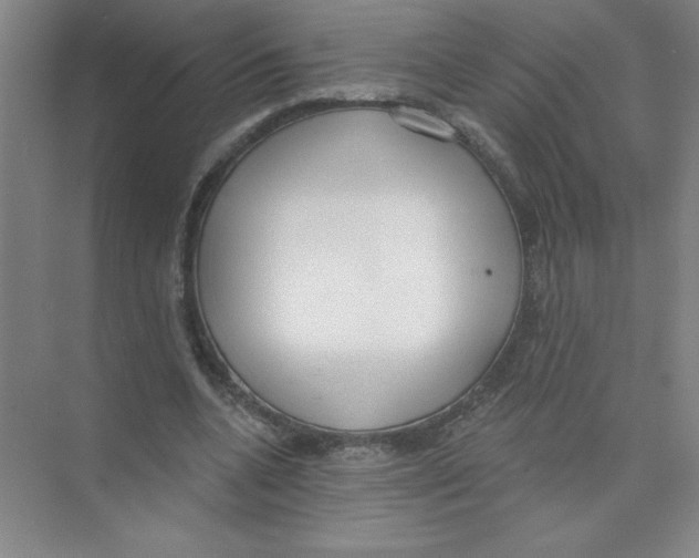 X0000074320536200609230029